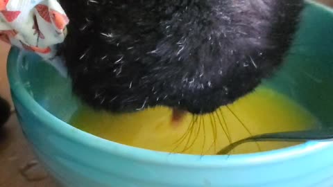 Soup