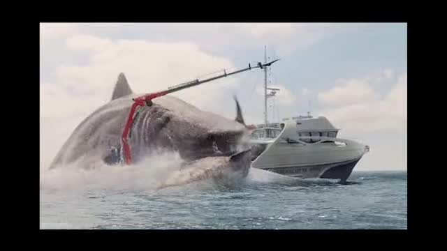 MEGALODON VS ..........