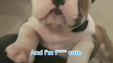You are my baby