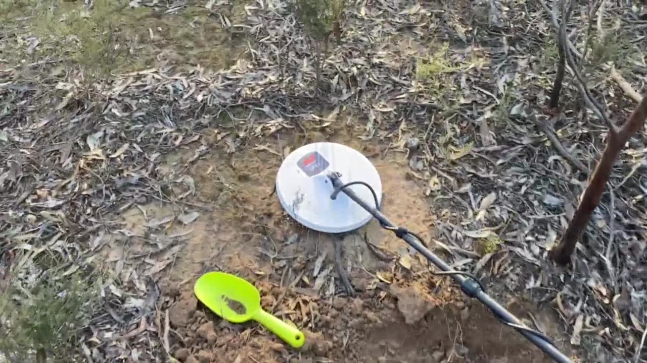 Gold Nugget Minelab GPX6000