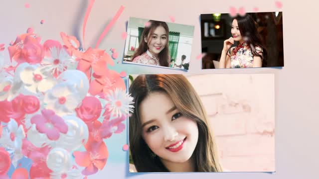 3087_Project ProShow Producer histoire_damour