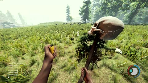 The Forest Pt.14