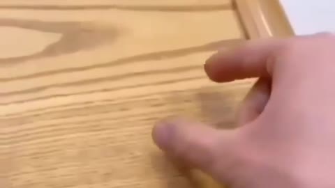 Funny REACTION #32 - Owner making fool of his dog, Watch what the dog do next
