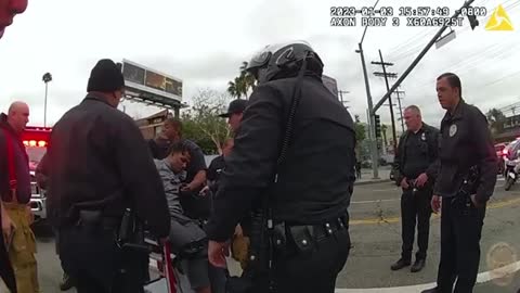 American Pigs Goes Overkill🇺🇸🤬🐷