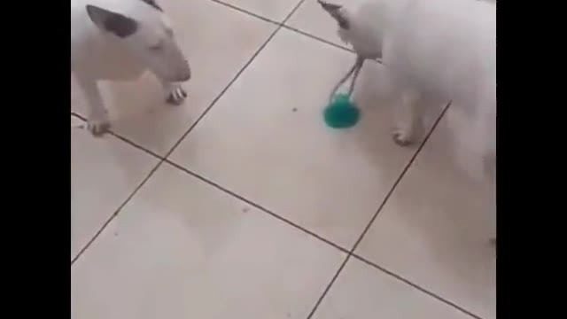 This is how you need to open the tile
