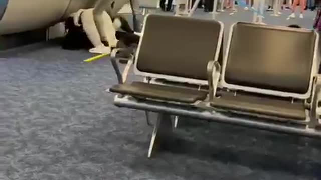 Miami airport brawl I