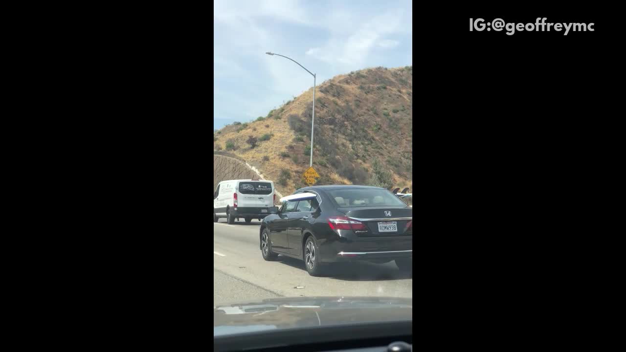 White surfboard out of back windows of black honda freeway