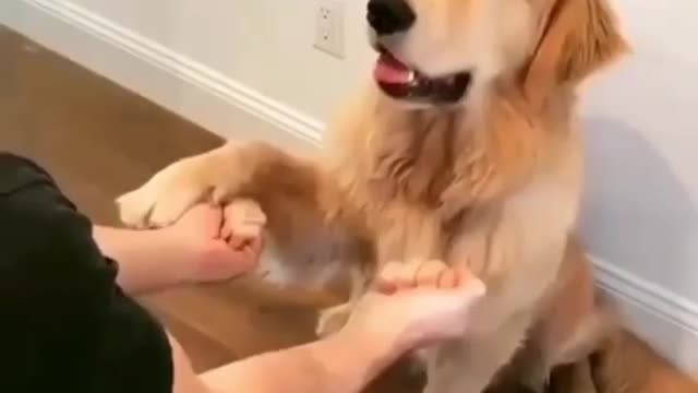 Can you guess in which hand the cookie was? But I couldn't know? Oh!😥😥😥😥😥