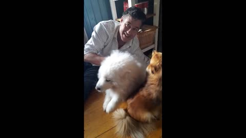 Fritjof och Fluffy