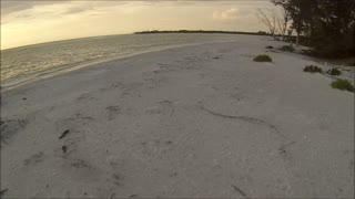 Paramotoring Flight 102 Hot doggin on a typical beach run