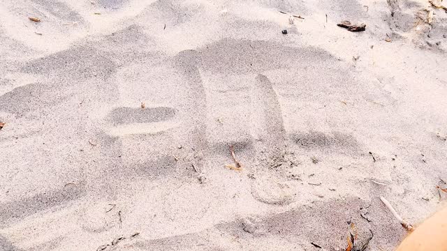 Port Townsend Beach