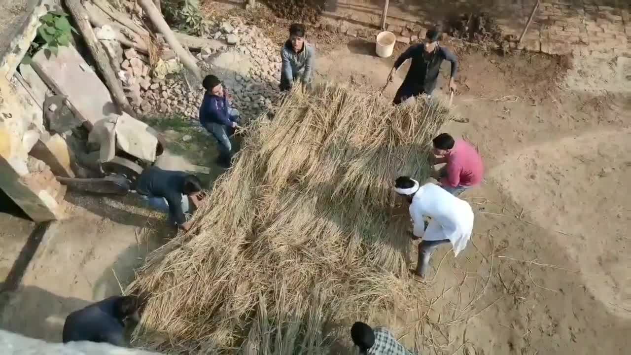 Desi comedy video