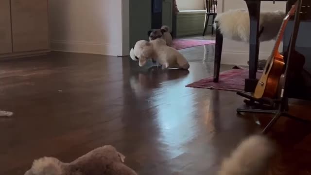 So playful today