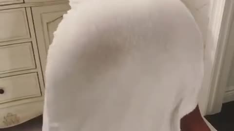 Whatever you need big fat Ass rock..