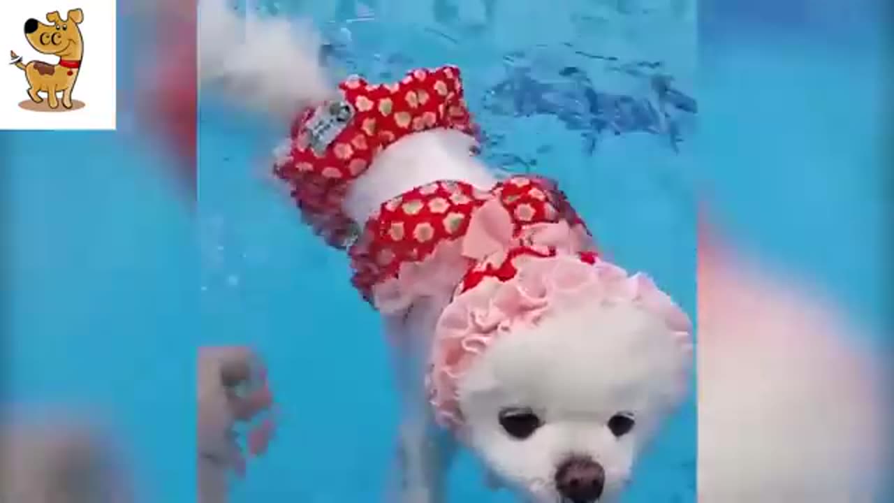 Cute animals! <3