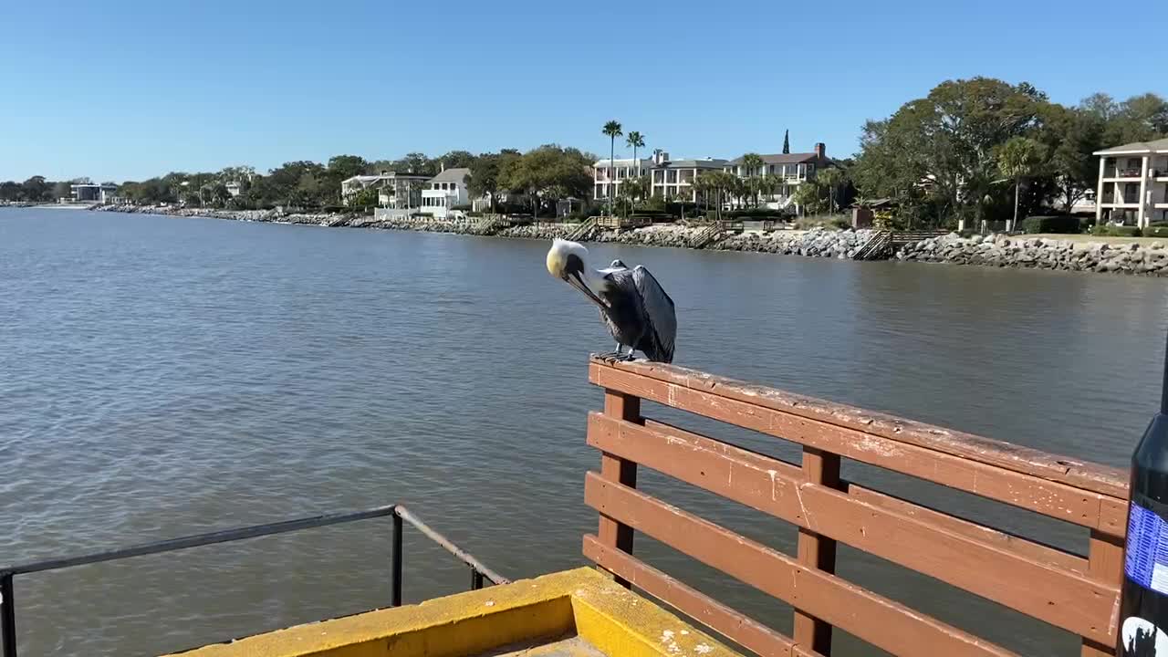 St. Simons Island