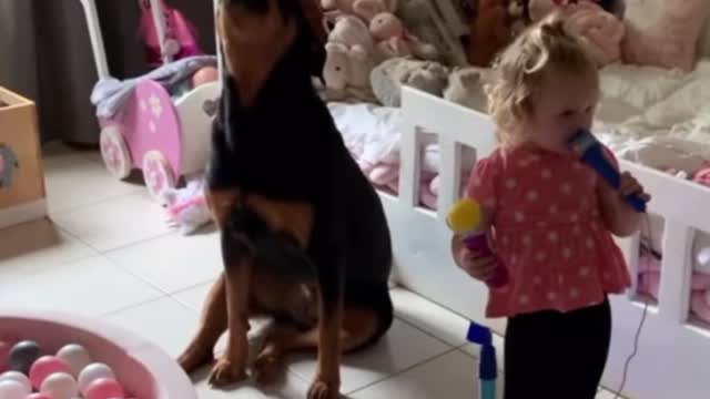 Toddler and Rottweiler sing epic duet together