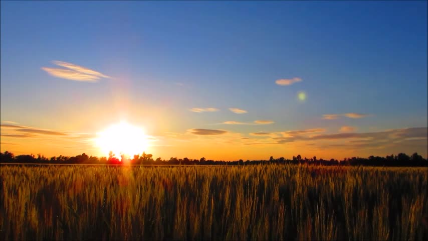 Beautiful music relaxing sunset