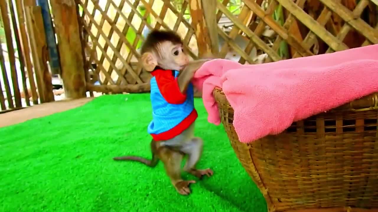 Cute Baby Rotine Sleep on Towel