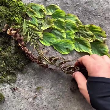 nature art