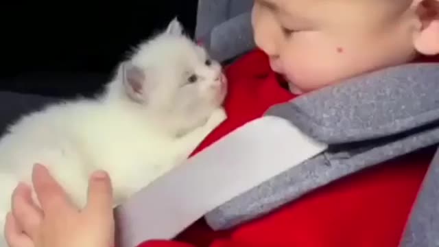 Kid with his cute kitten