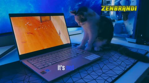 ASUS Zenbook 14X OLED Review: The Ultimate Laptop Experience!