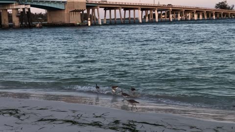 Water at Coquina Bridge and Beach