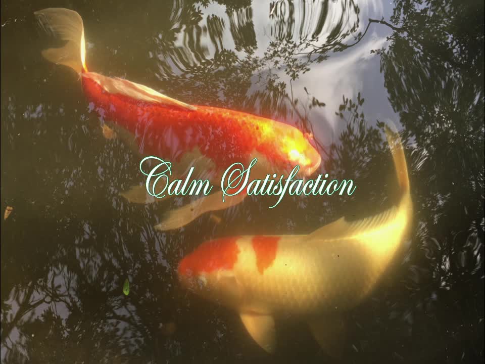 Calm Satisfaction - Solo Piano