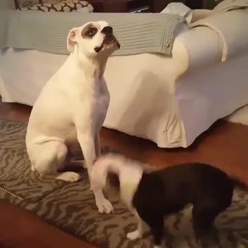 When you’re so tired of work but your friend is super active right in your face