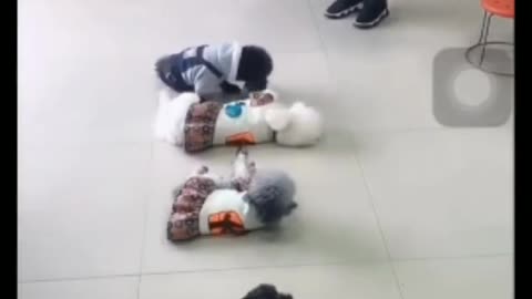 smart dogs stand still in a funny way
