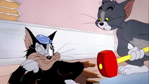TOM AND JERRY FUNNY VIDEO
