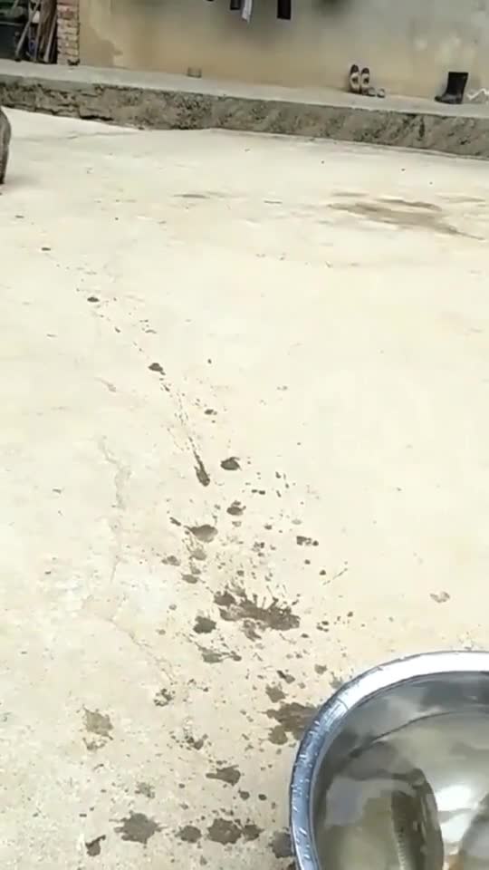 Warning fast and furious