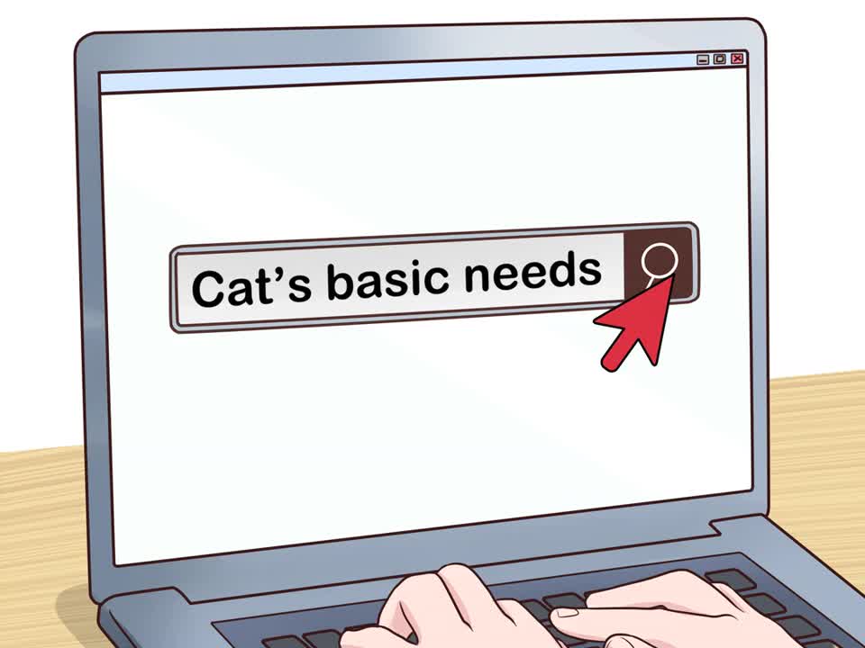How to Convince your parents to get you a pet cat!