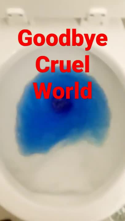 HOW TO DEAL WITH S#!T