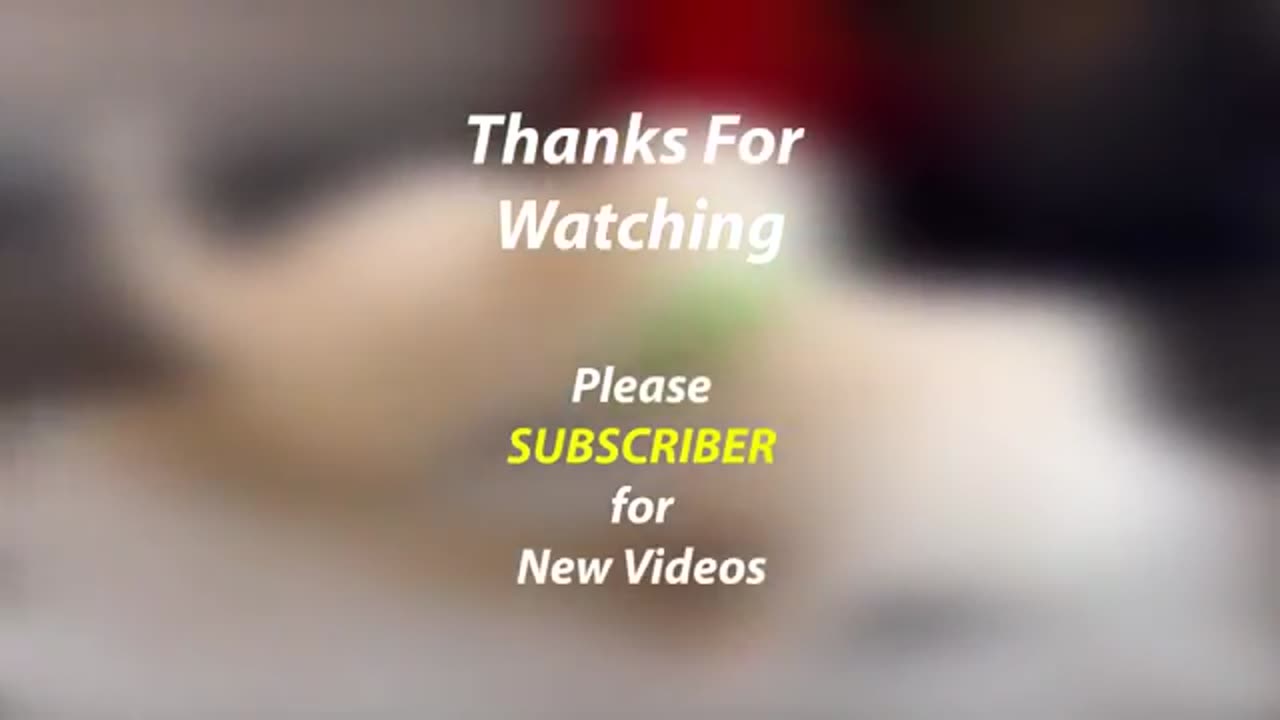 Funny videos
