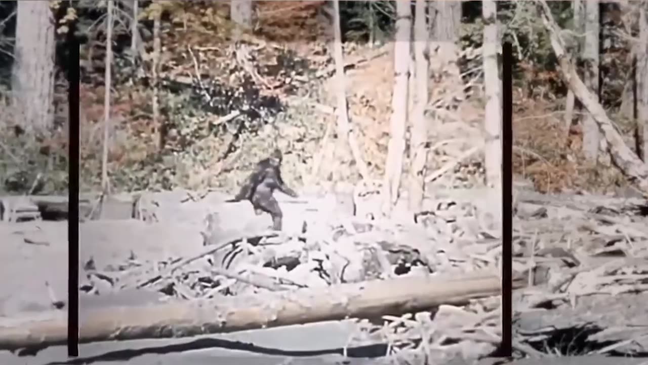 Stabilized footage of the BIGFOOT film from 1967