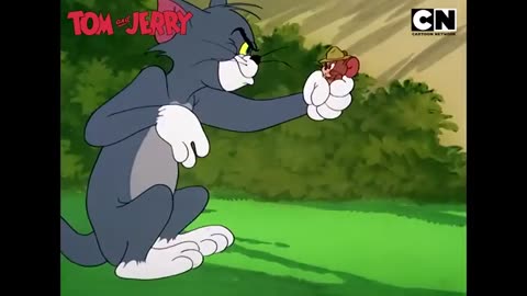 Tom Kills Jerry