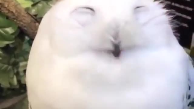 He is really enjoying it