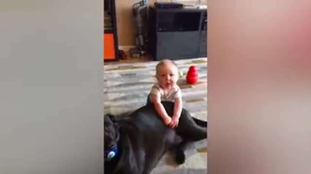 Cutest Babies play with dogs