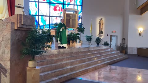 Father Martin Dunne Homily 10/6/24 M10:2-16