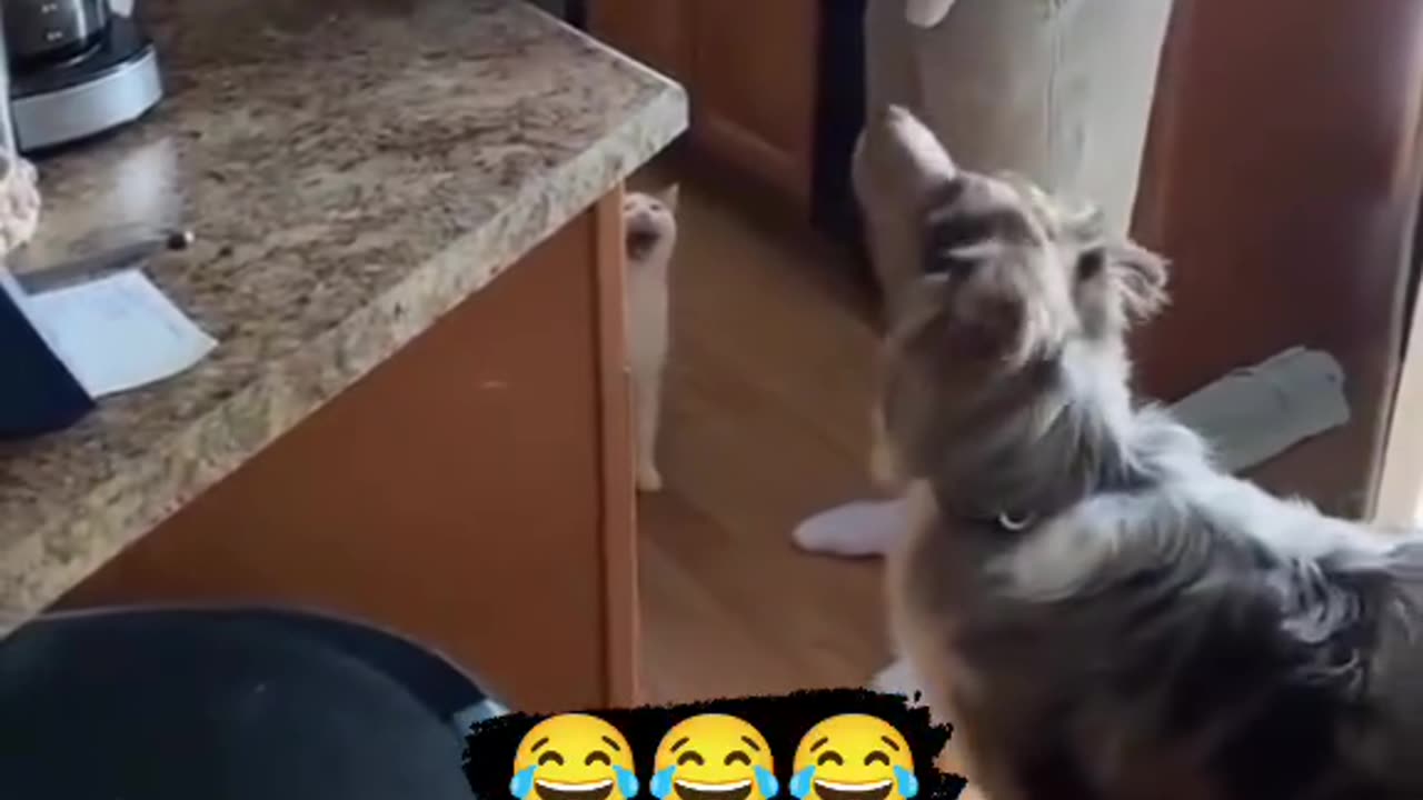 Always hungry! 🤣🤣