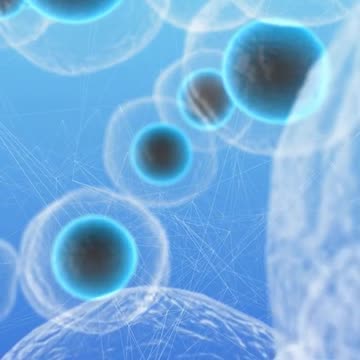 Are red or green grapes better for you