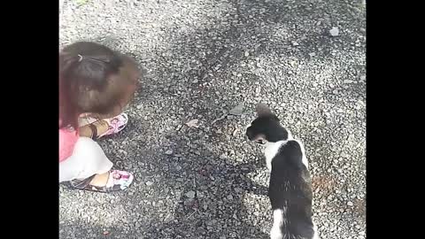 The cat follows the baby and acts funny