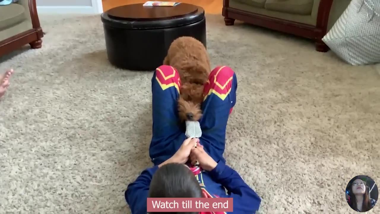Ready For LAUGHINGš¤£Moments Baby Fails Outdoor _ Funny Baby Video