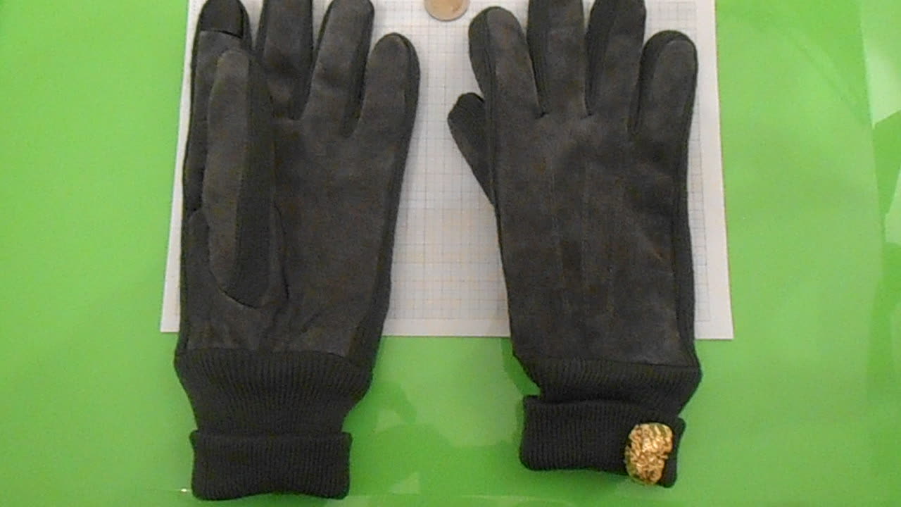 GLove-Mr1-#5867