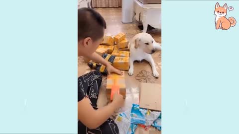 🐶 🐱Funny dog video🤣🤣