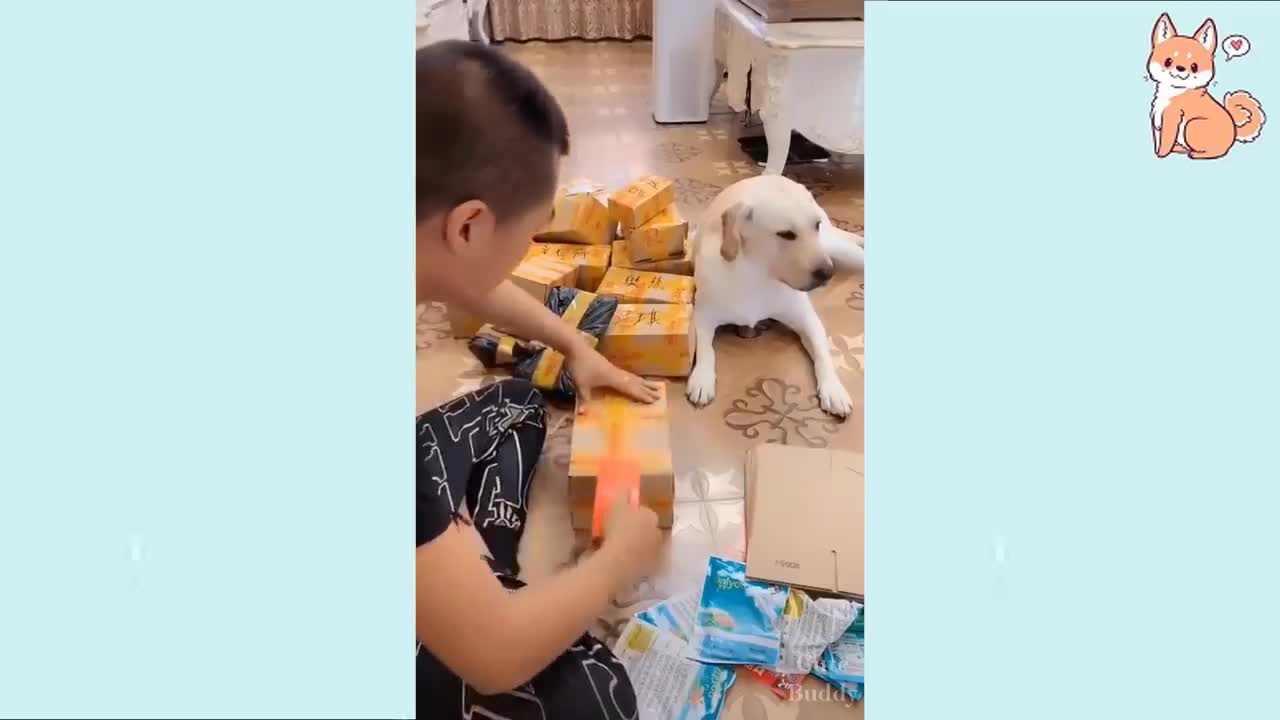 🐶 🐱Funny dog video🤣🤣