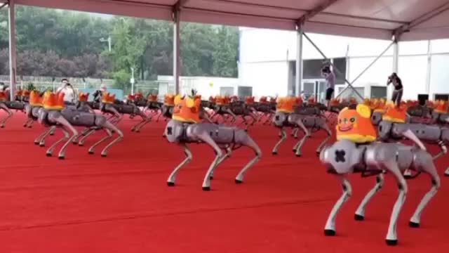 Chinese robot army performs synchronized figures - this is the World Robotics Conference in Beijing