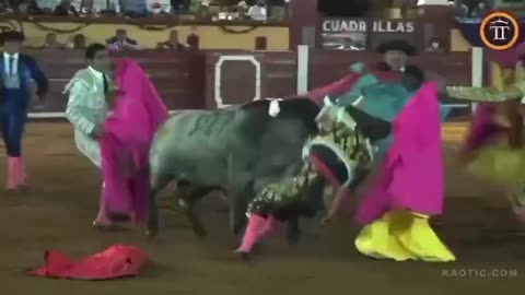 Live leak~Bullfighting in Spain