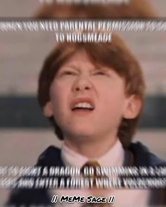 MeMes Only Potter Fans Will Find Funny ~ Part 60 _ Harry Potter EDITS _ #shorts #potterhead #edit